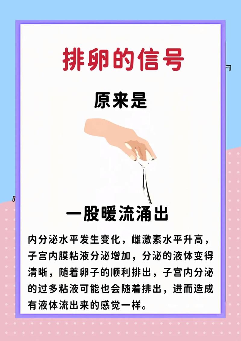 排卵