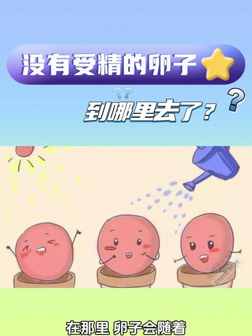 没有卵子