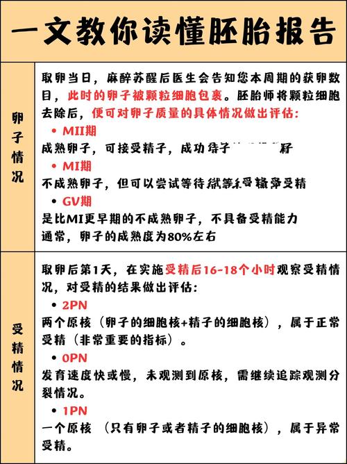  胚胎发育
【描述】：本文探讨了试管婴儿技术在大肠菌群研究中的应用，包括胚胎肠道微生物的早期植入、微生物移植以及研究肠道微生物与遗传的关系。