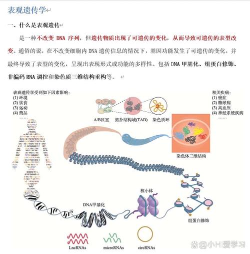 遗传健康管理
