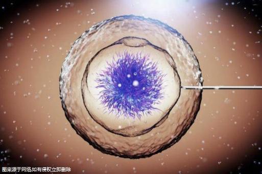 仙桃试管婴儿