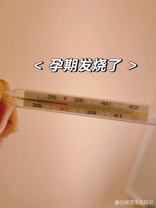 怀孕发烧