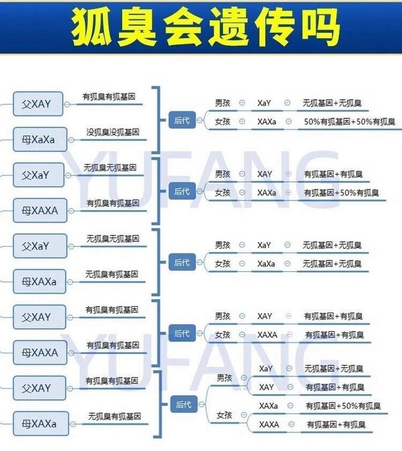 腋臭遗传