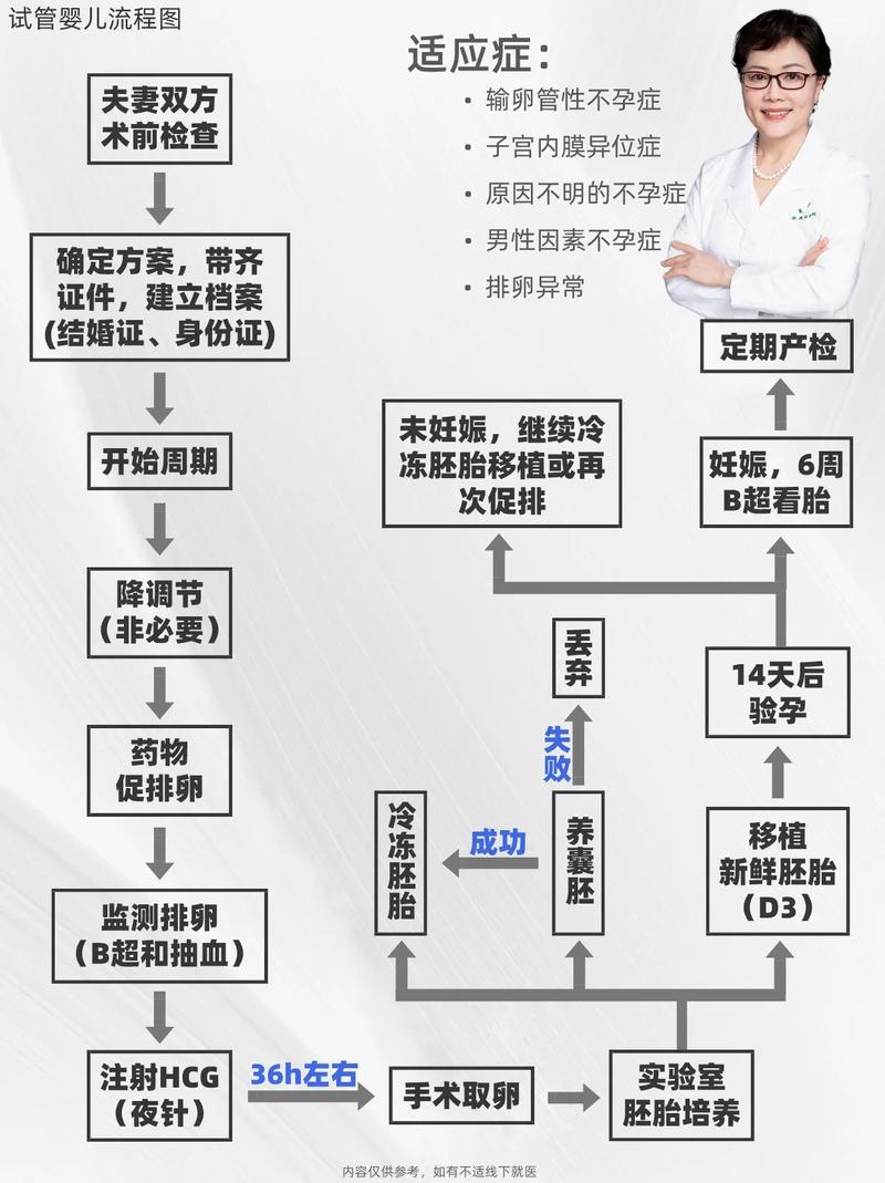 试管婴儿技术流程