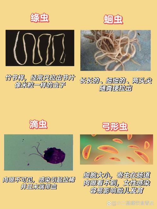 寄生虫和细菌