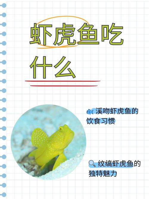 虾鱼食用