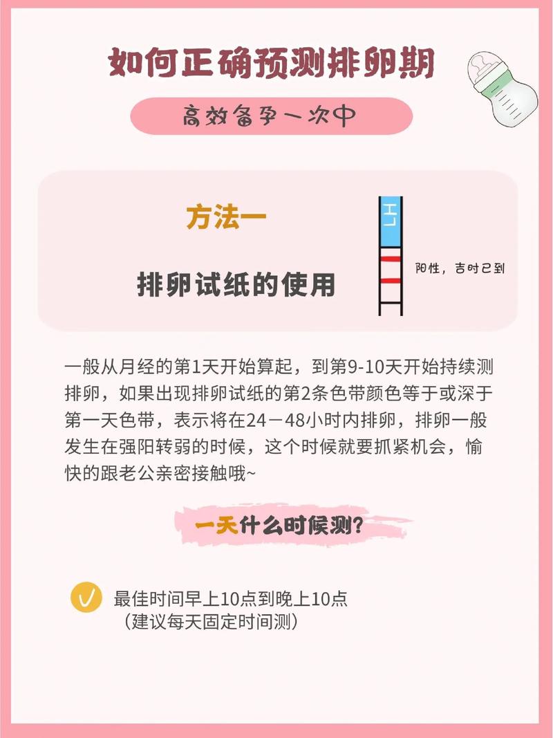 试管婴儿前如何精确测定排卵期？