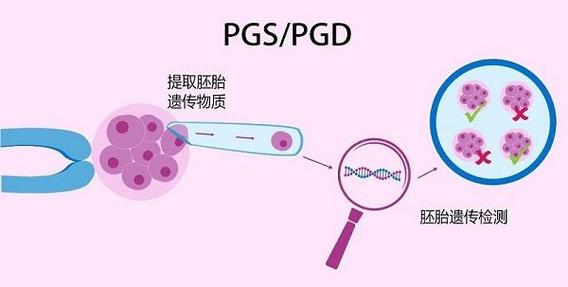 南宁试管婴儿、第三代试管婴儿技术、生殖医疗
