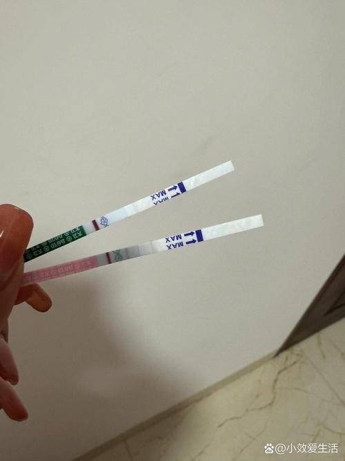 验孕试纸