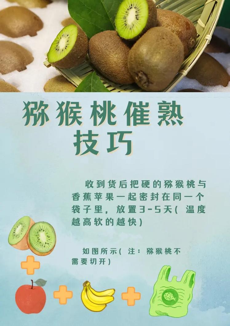 试管婴儿期间能否食用猕猴桃？