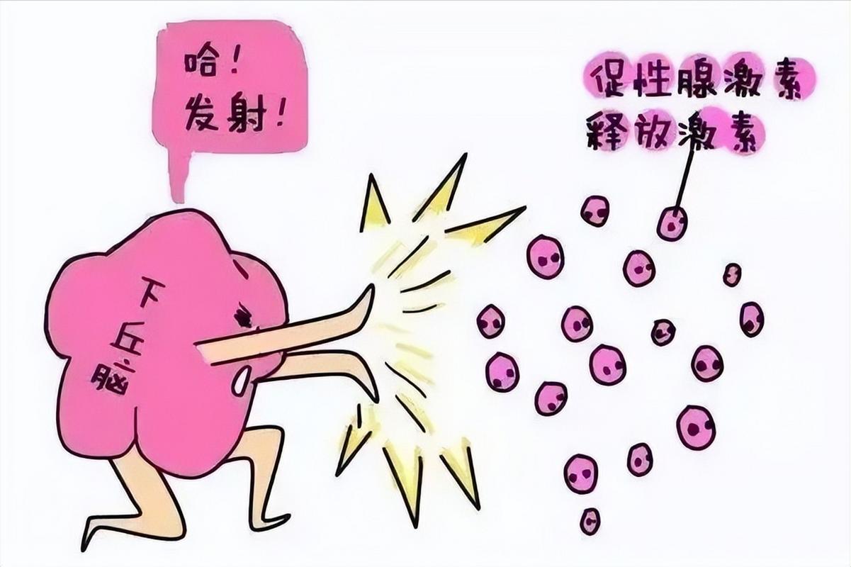 <促排卵>