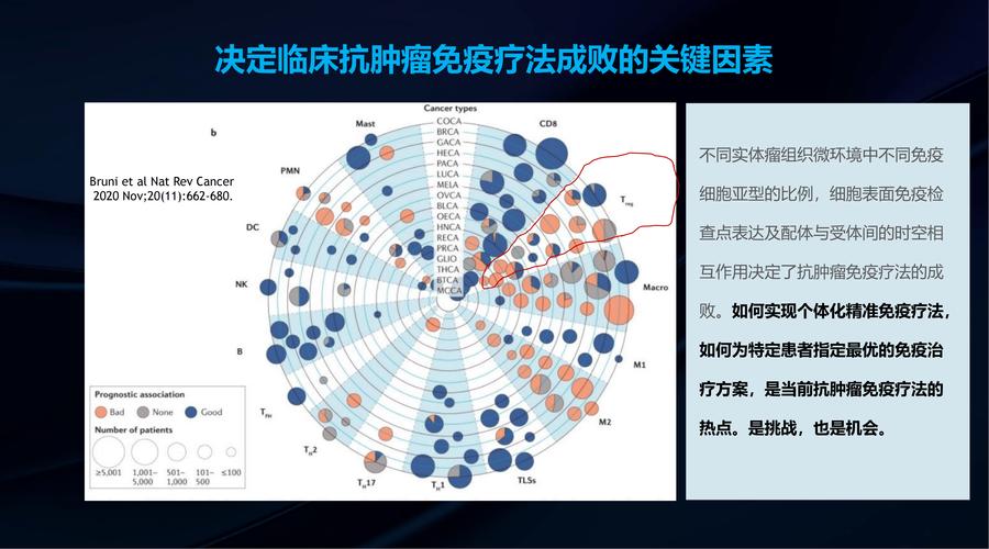  个体化治疗