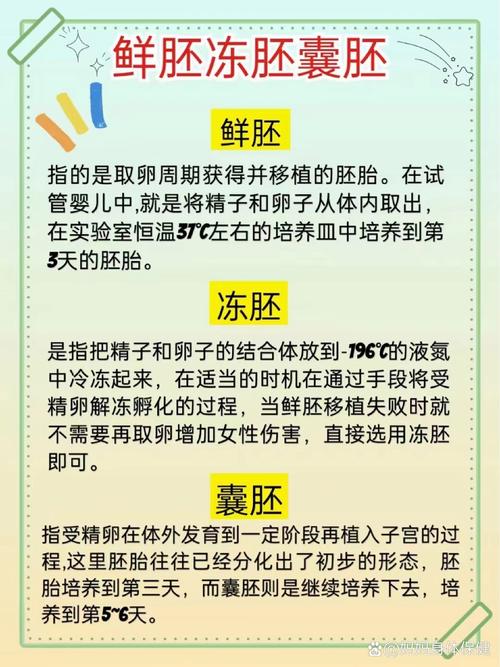 多胎家庭
描述: 文章围绕试管婴儿三胎展开，探讨了家庭选择背后的原因，阐述了面临的资源分配、孩子成长等伦理困境，也分析了现实压力，最后提出寻求平衡与解决问题的办法，助力多胎家庭驶向幸福彼岸 。