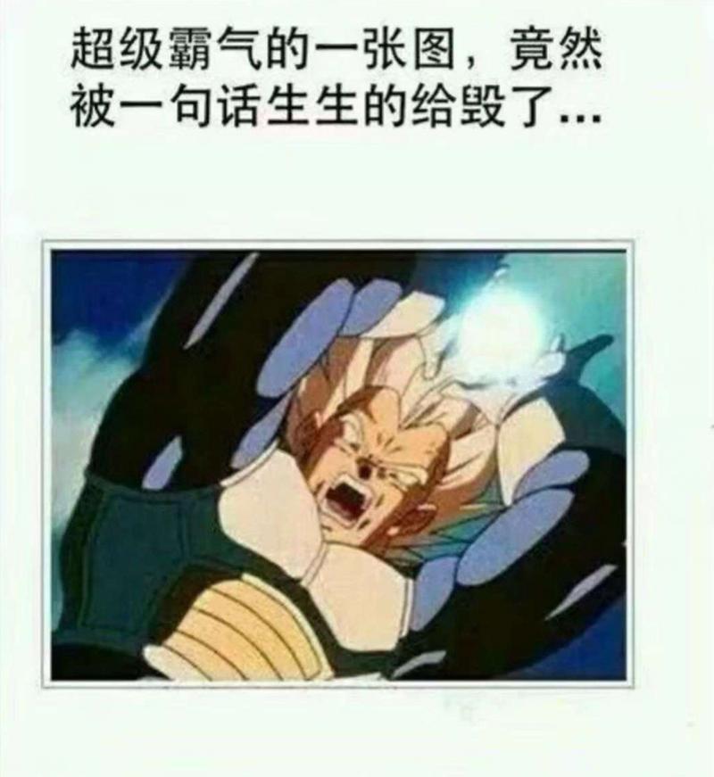 爸爸不能更换