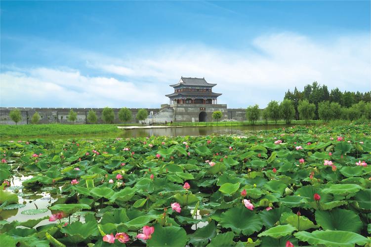  仙桃市