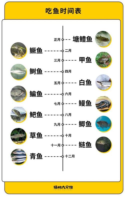 吃鱼时间
