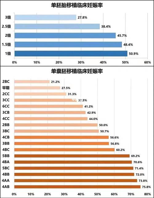 试管婴儿、活产率、胚胎质量、子宫内膜容受性