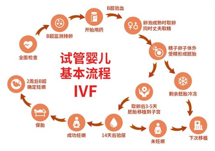 试管婴儿男性参与步骤