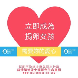 卵子捐赠