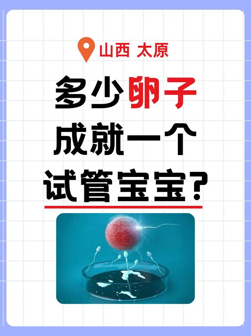 单身女性、试管婴儿、生殖医学