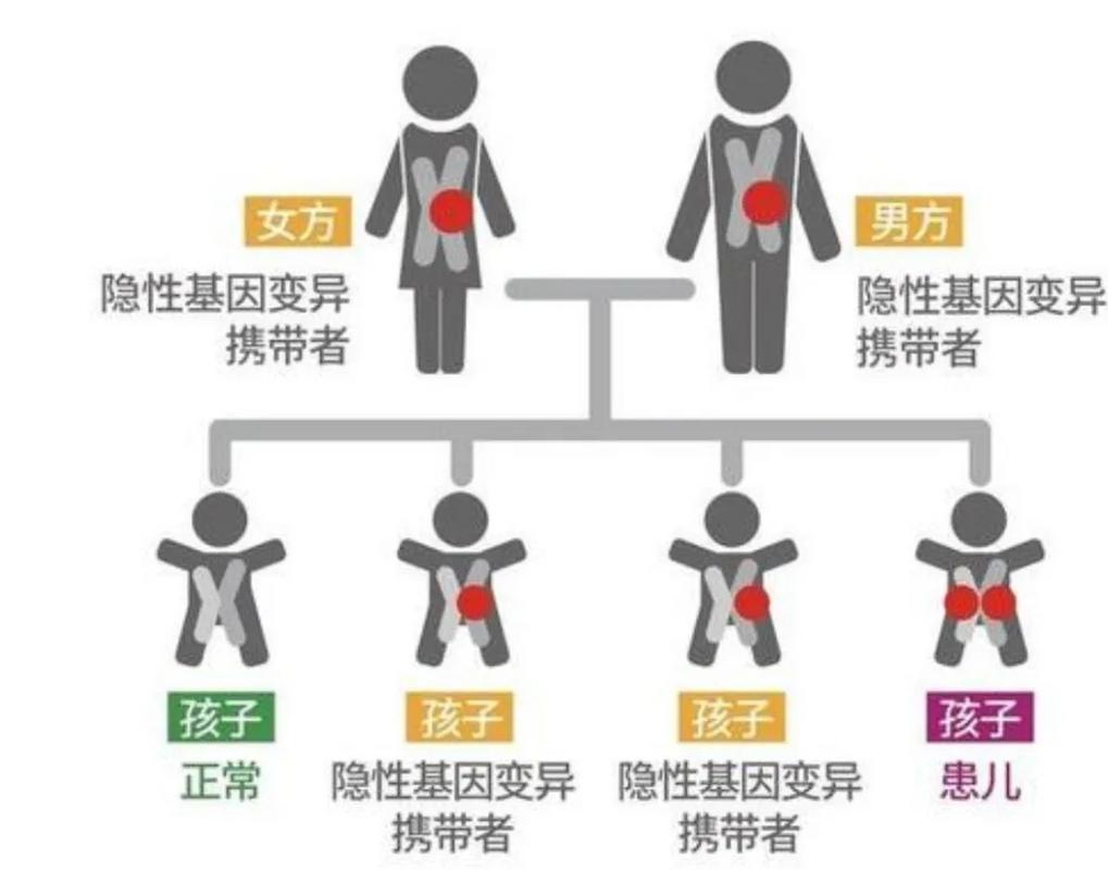 男性遗传健康
