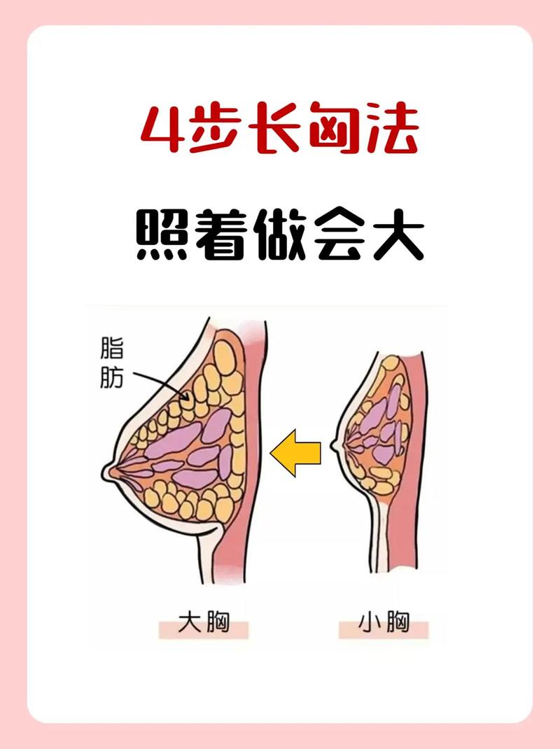 乳房增大