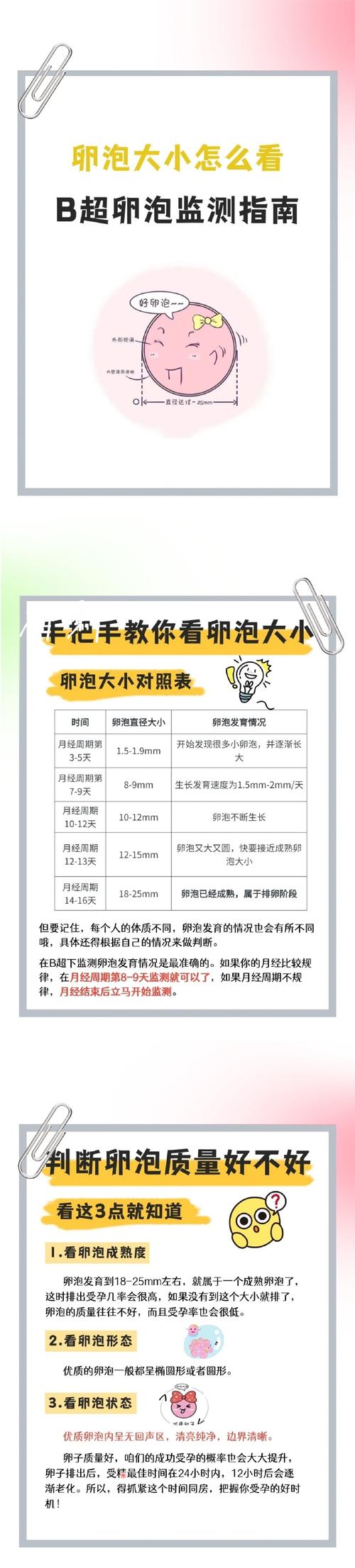 取卵泡直径