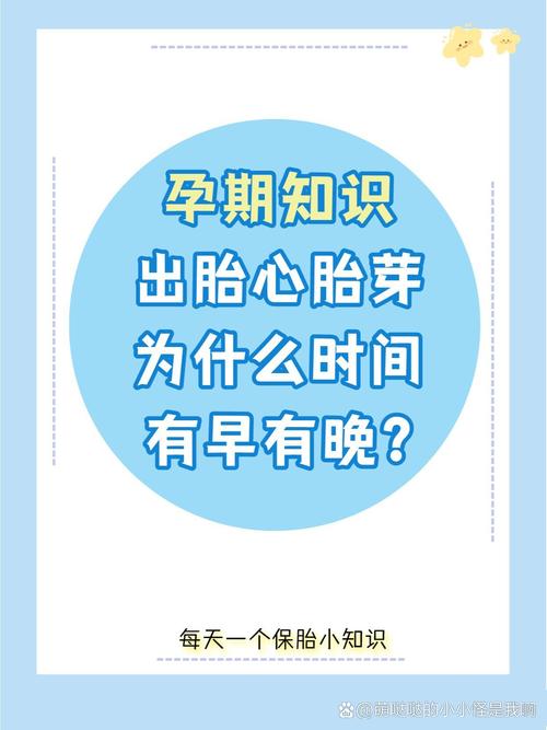 胎心时间