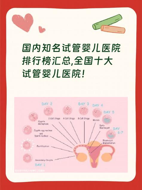 中国试管婴儿医院