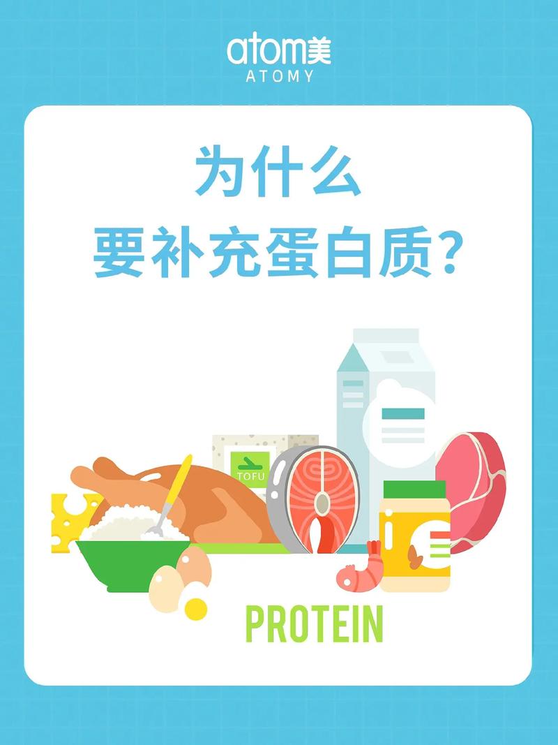 食物补充蛋白质
