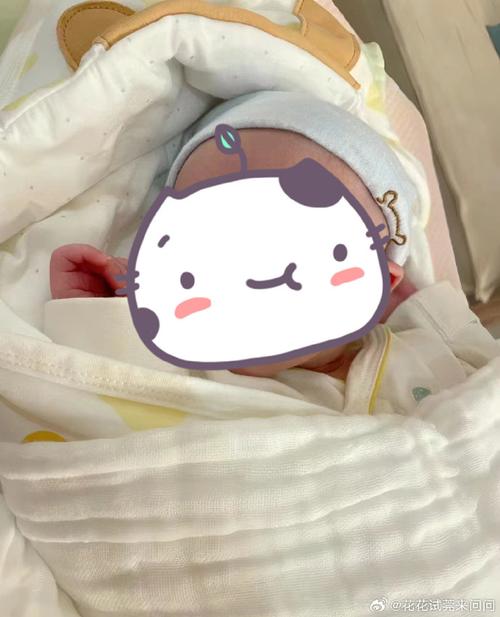 试管婴儿受限