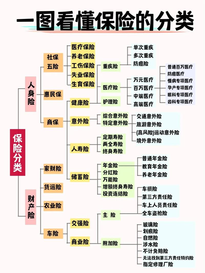 保险类型