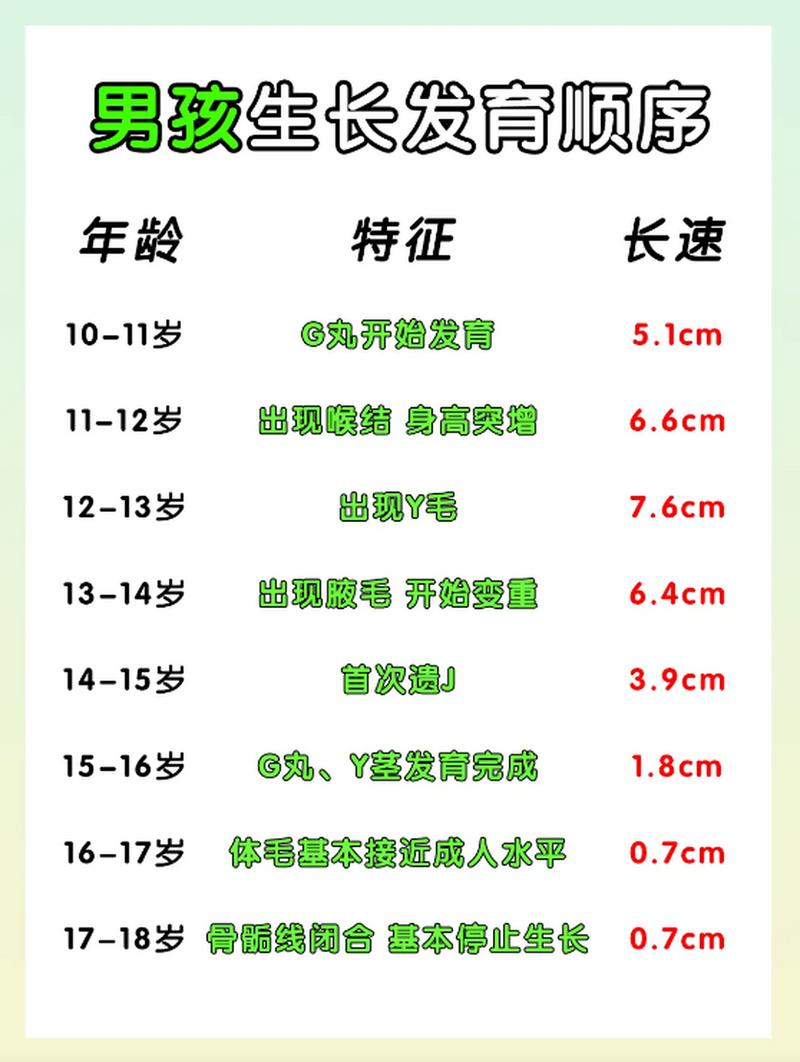 发育时间表