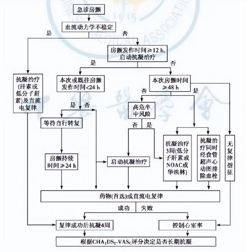 个性化治疗方案