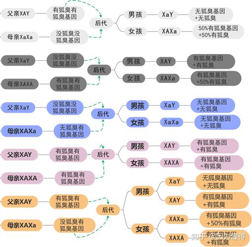 遗传特征
