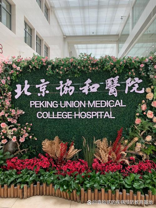 协和医院