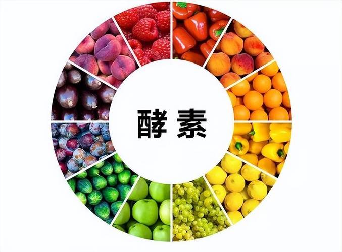 酵素
