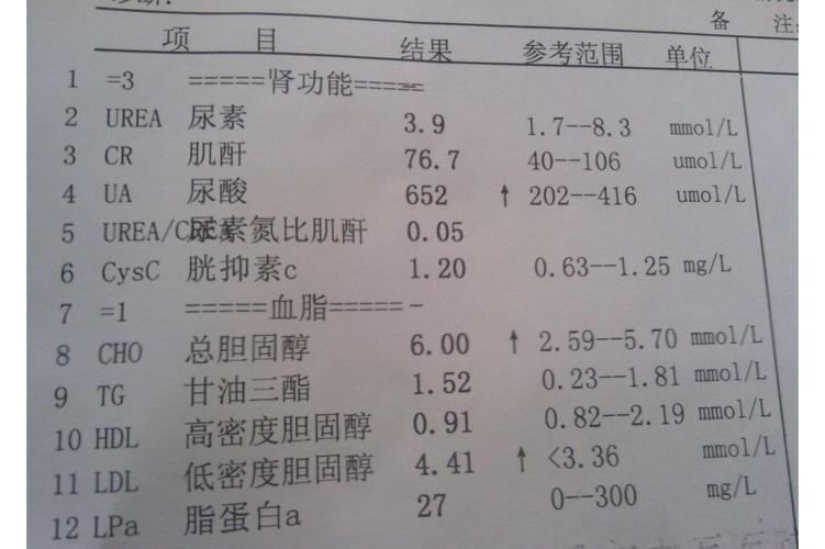 肾功能异常
