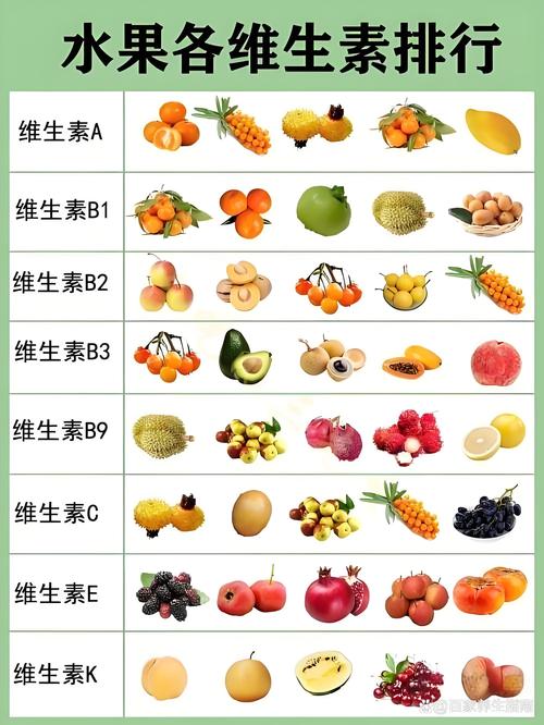 维生素食物