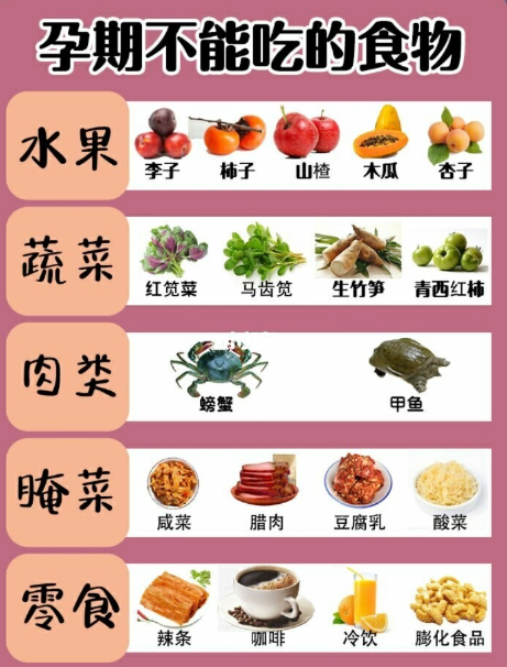 试管婴儿、补脑饮食、孕期营养