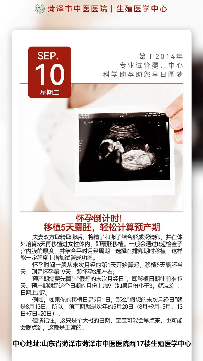 试管婴儿妊娠期计时
