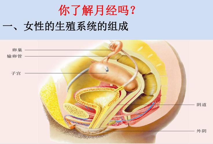 生理健康