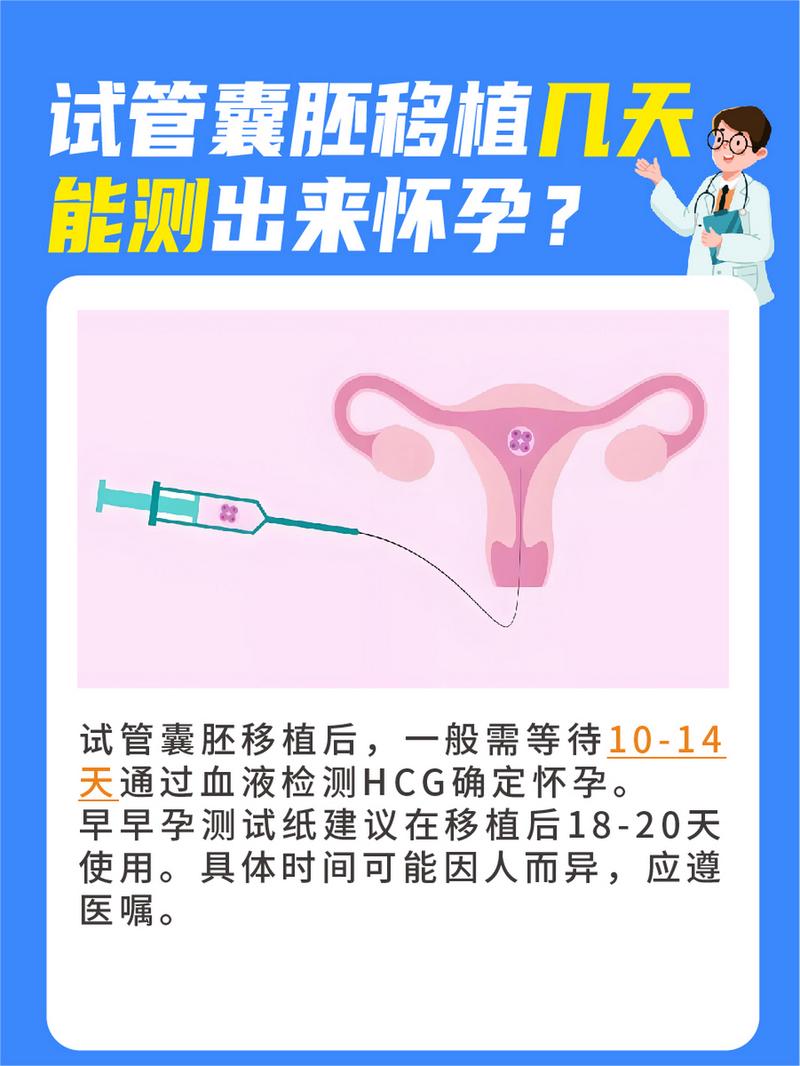 试管婴儿、生殖医疗、胚胎移植