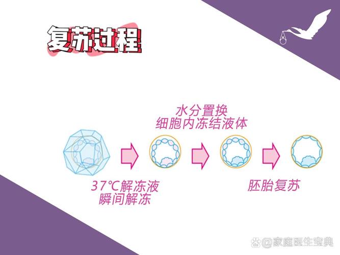 胚胎复苏