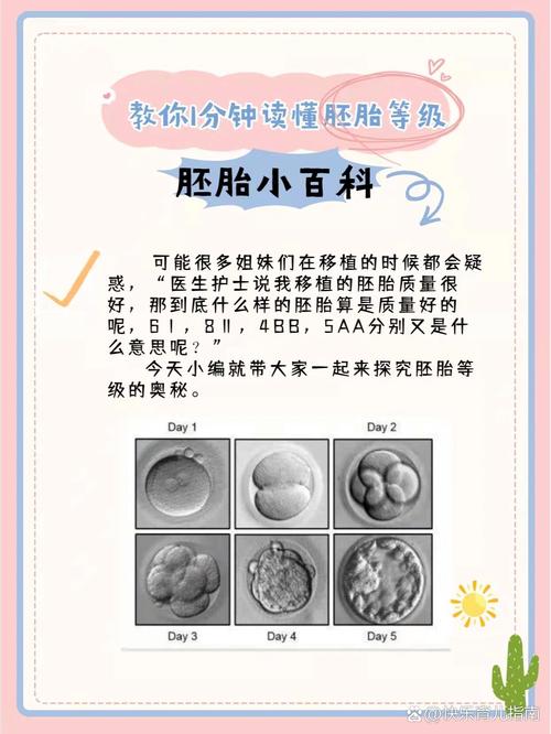 胚胎管理