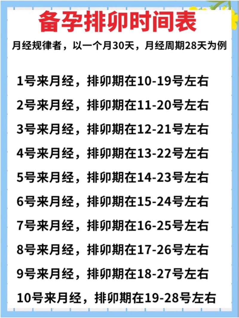 排卵少