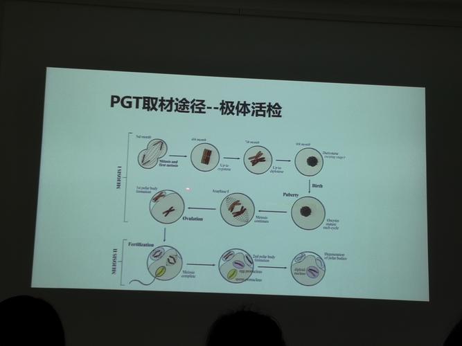 植入前遗传学检测