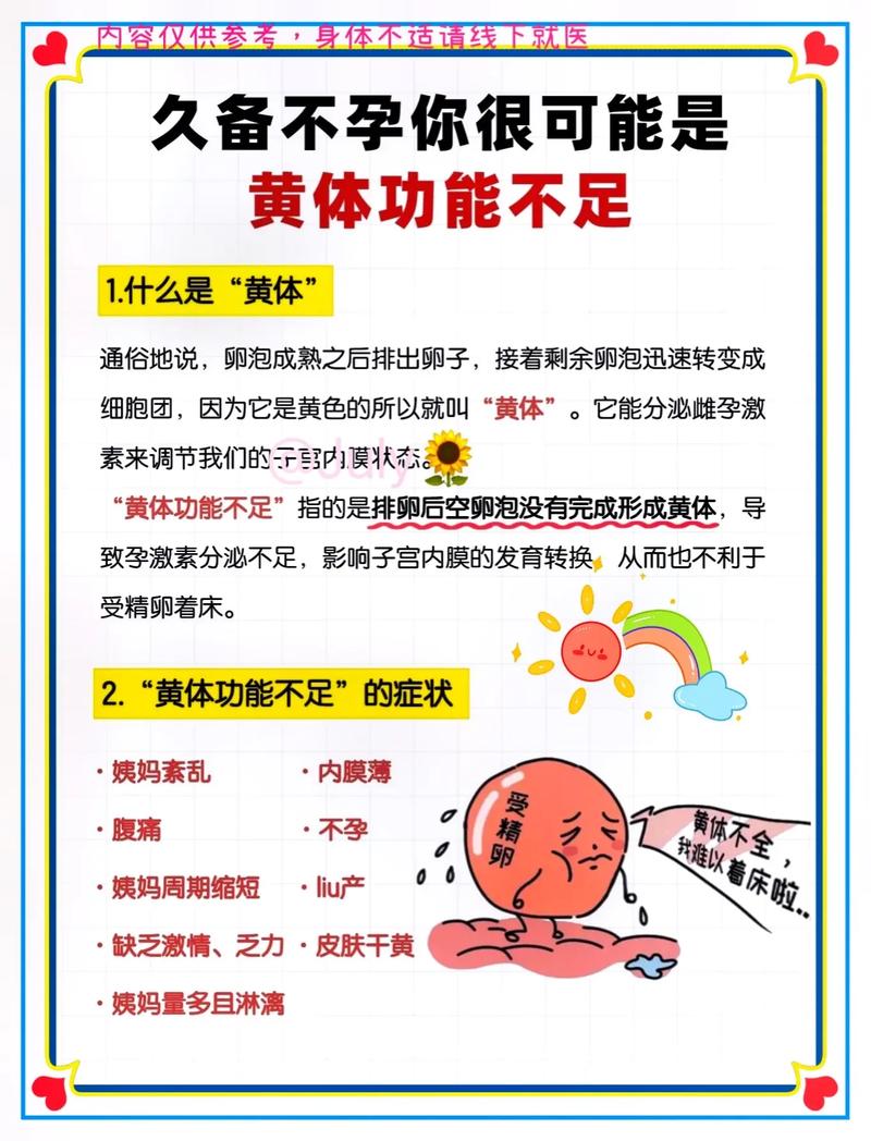  黄体功能