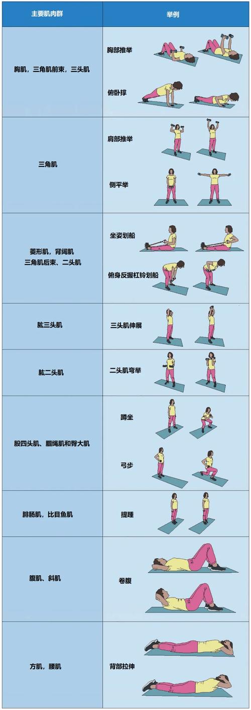 锻炼指南