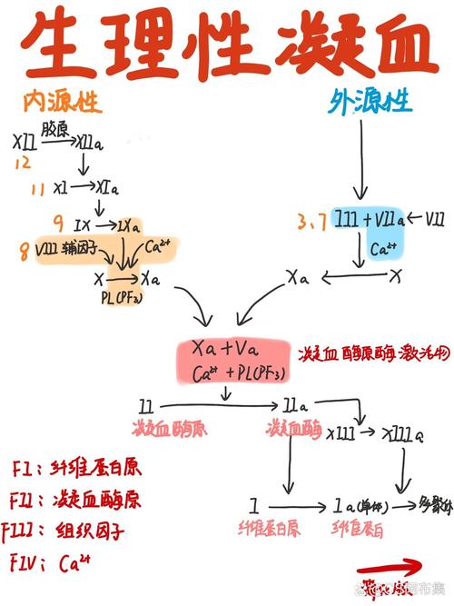  凝血问题
